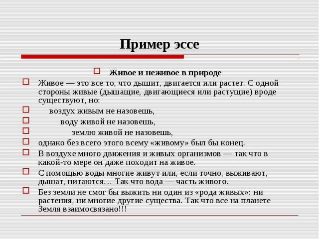 пример эссе по истории