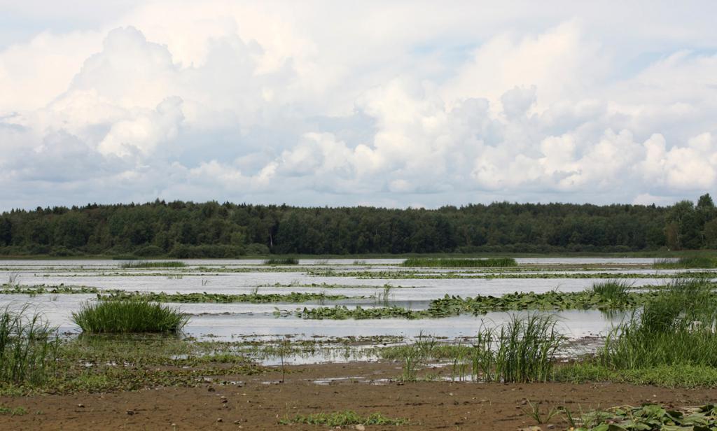 Обсохший берег Костромского водохранилища