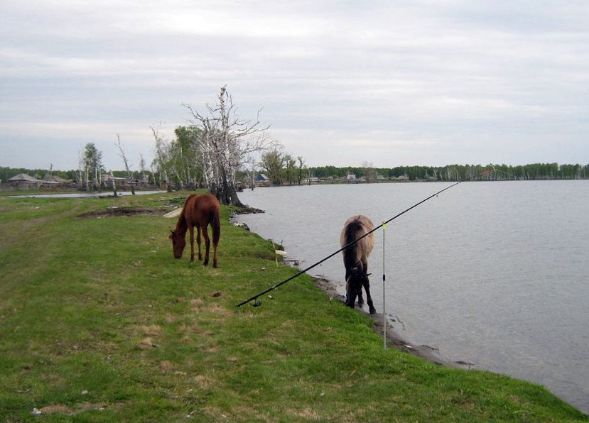 Карагайкуль (Аргаяшский район)