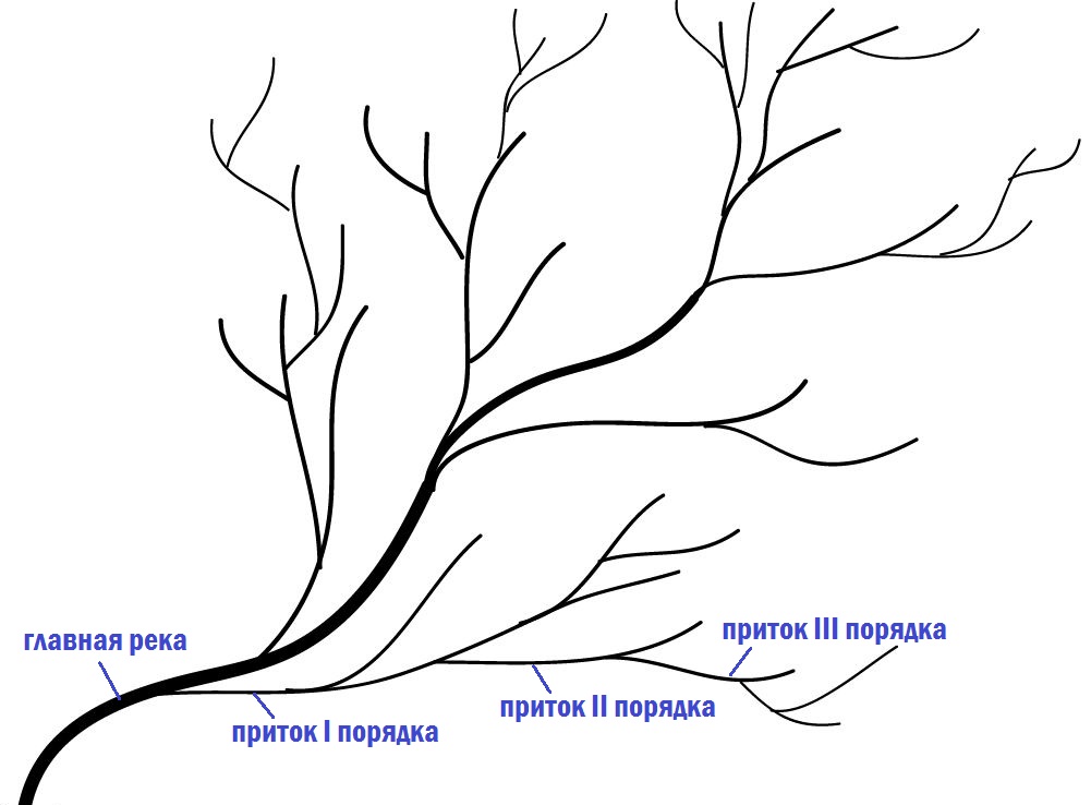 Виды притоков