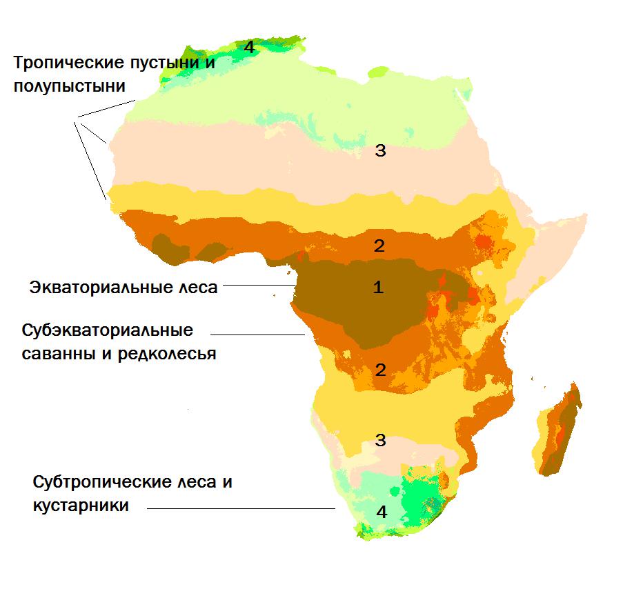 Широтная зональность Африки