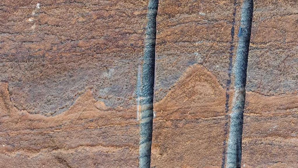 Ископаемый строматолит из Гренландии