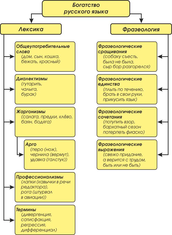 Лексика и фразеология русского языка