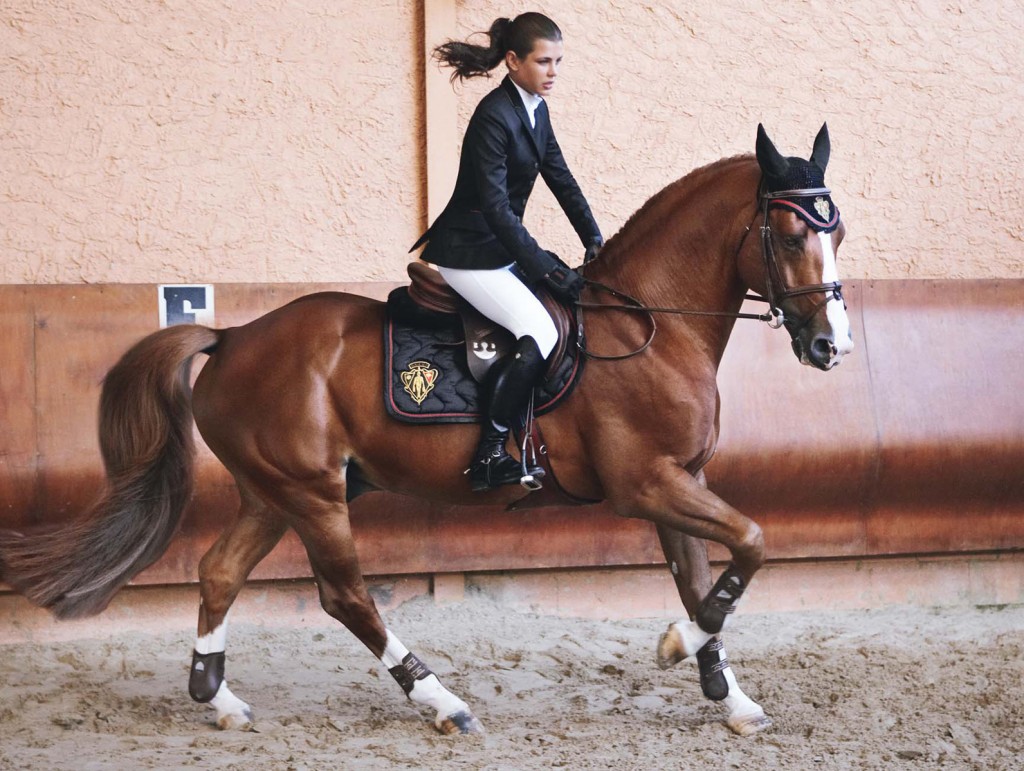 Charlotte Casiraghi на лошади