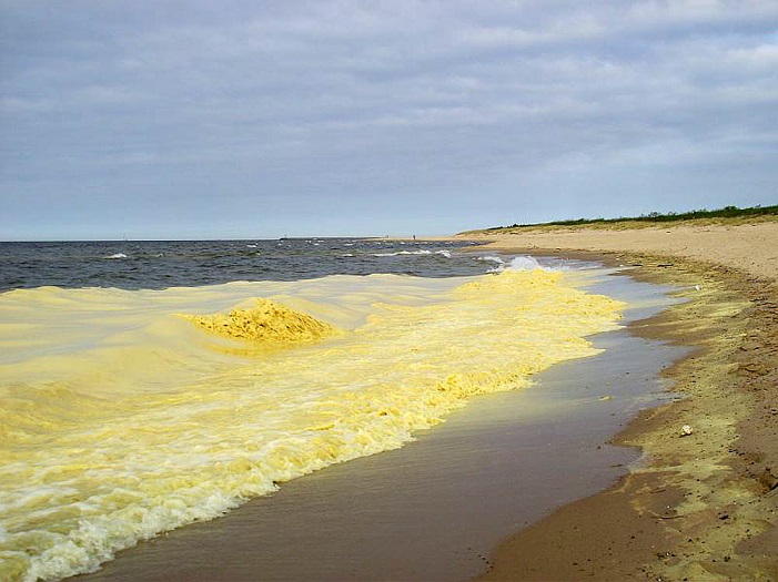 желтое море где находится страна