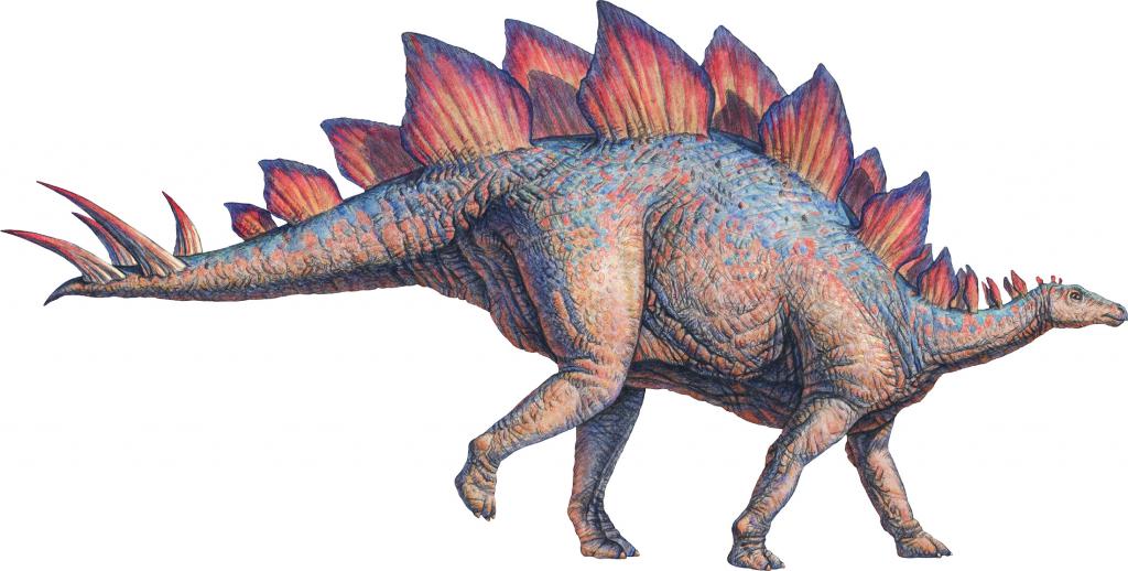 стегозавр динозавр