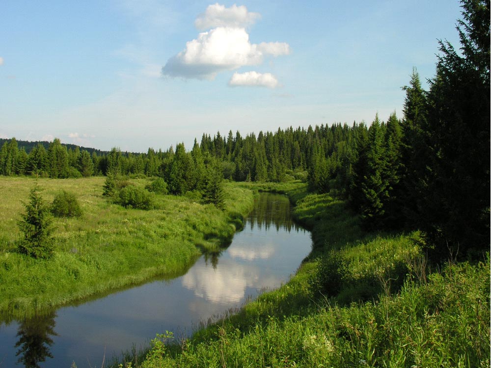 Реки заповедника