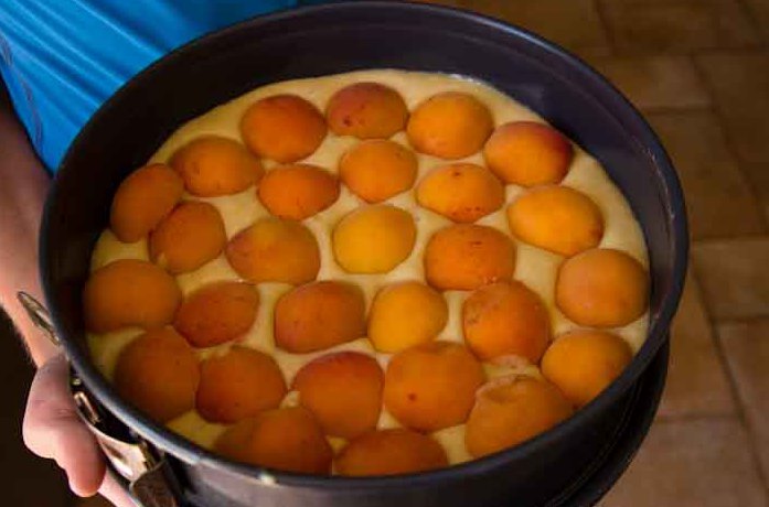 пирог с абрикосами