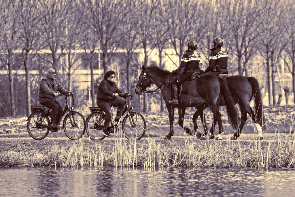 Конники и велосипедисты