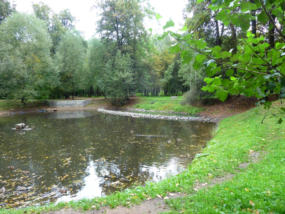 Пруд в Грачевском парке