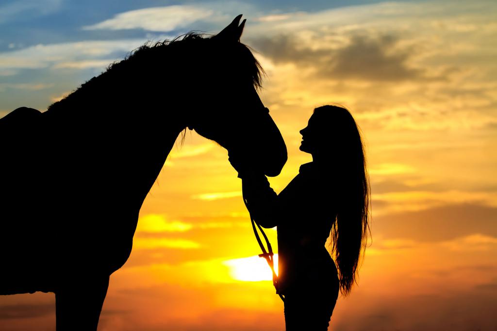 Лошадь и женщина на фоне заката