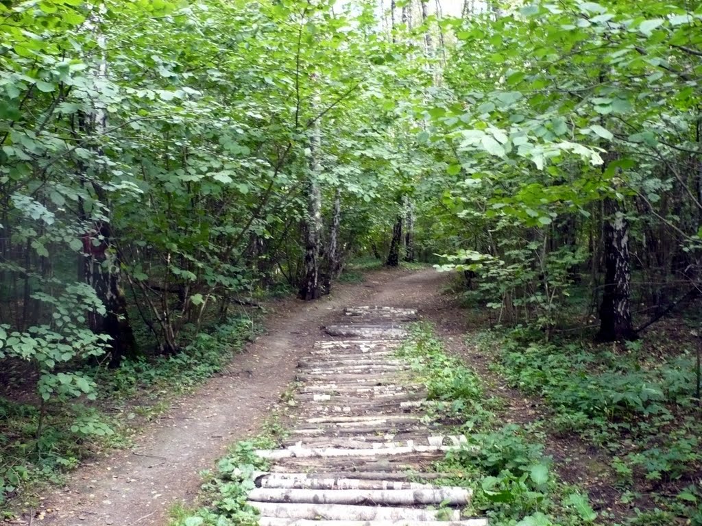 Парк Тропарево Москва