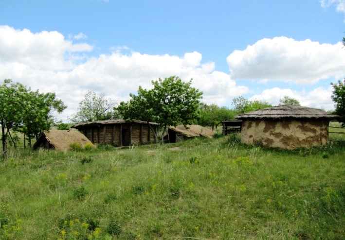 городище в Дивногорье