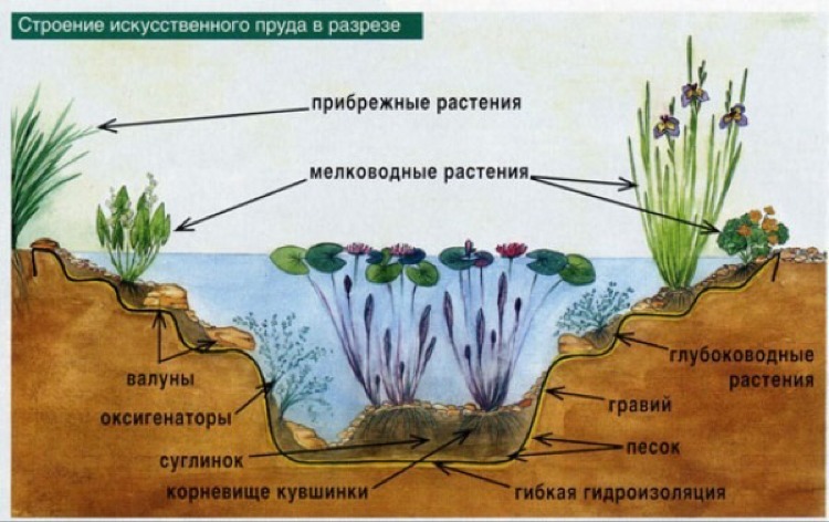 Обустройство искусственного водоема