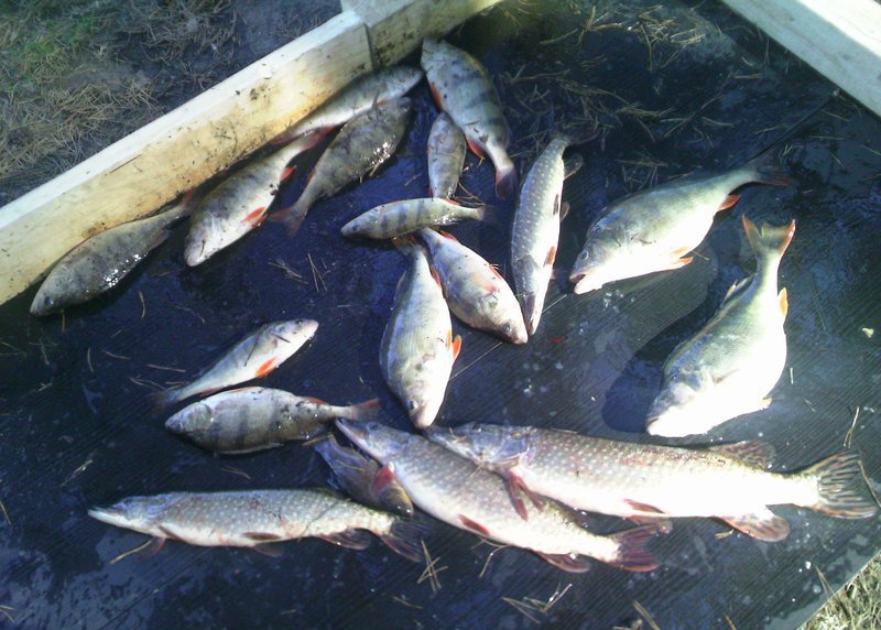 Рыбалка на Андреевских озерах