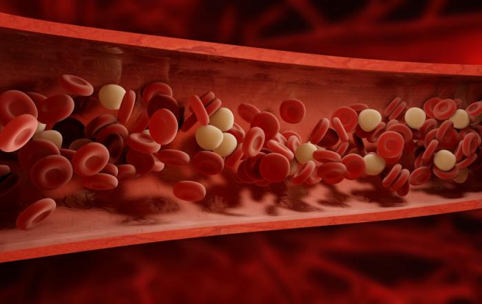 кровяные клетки