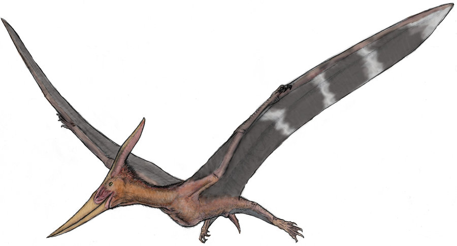 Летающий ящер птерозавр