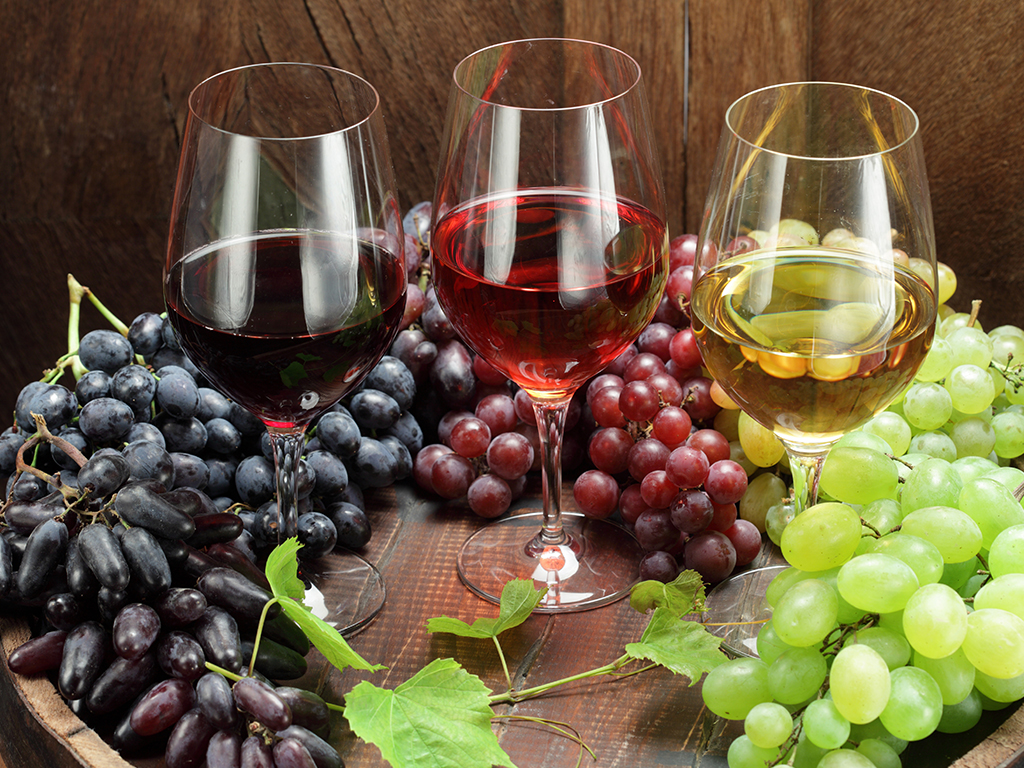 Виноград в промышленном виноделии