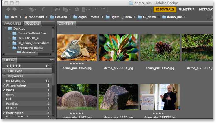 Помощник Adobe Bridge