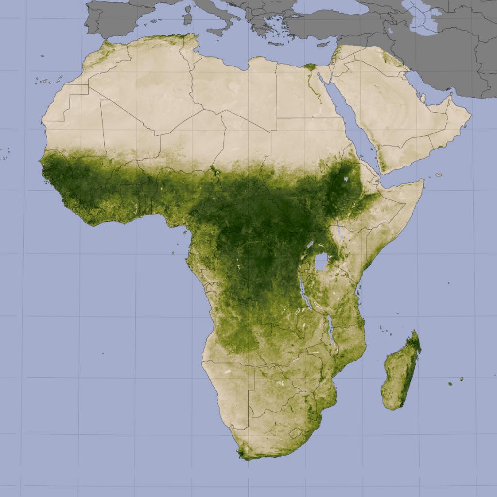 физическая карта африки