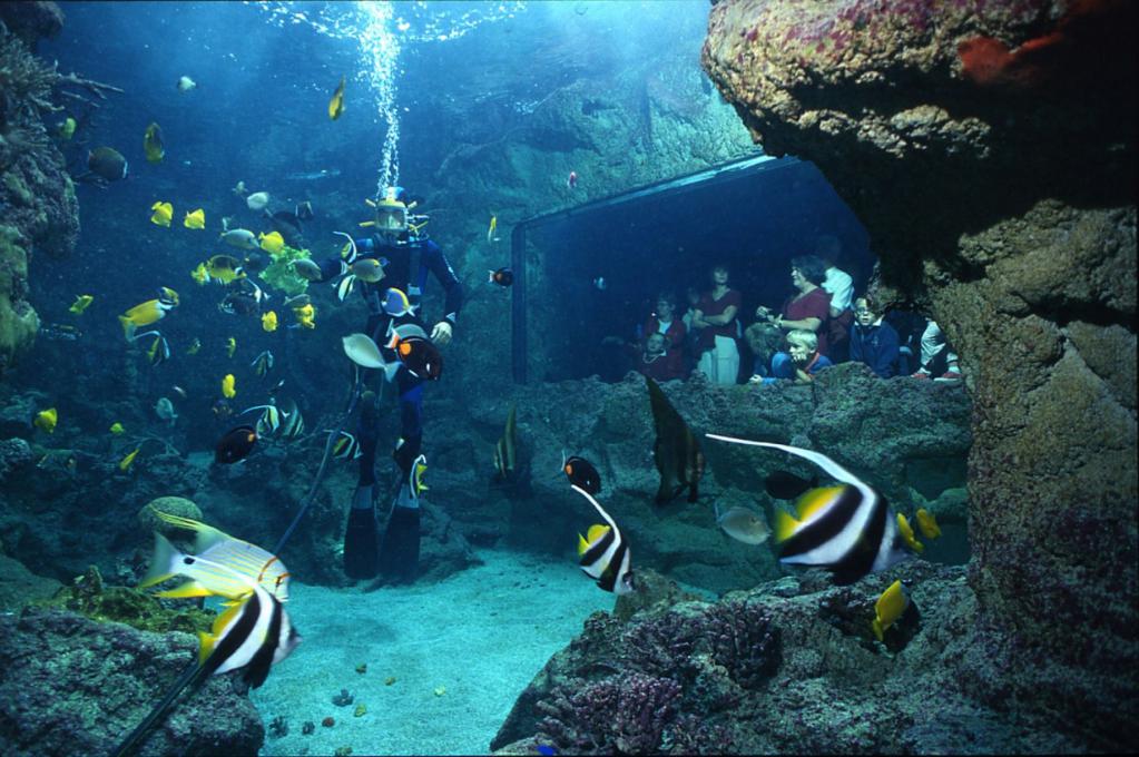 Музей-аквариум