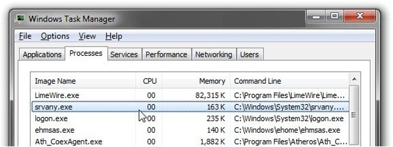 srvany exe что за процесс