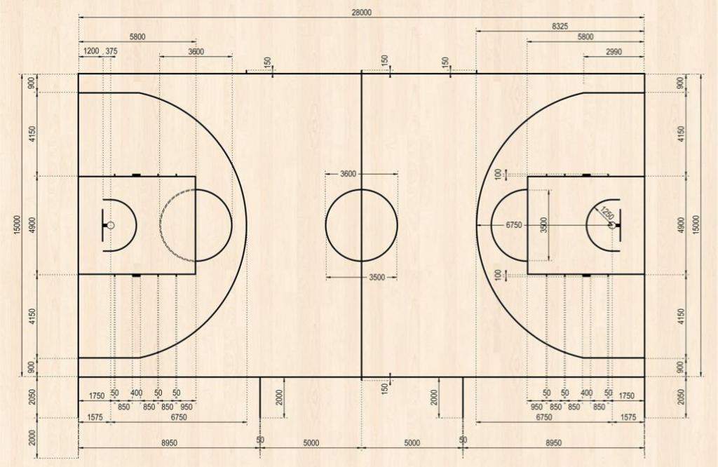 Размеры баскетбольной площадки