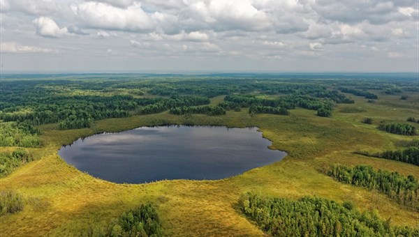 васюганское болото