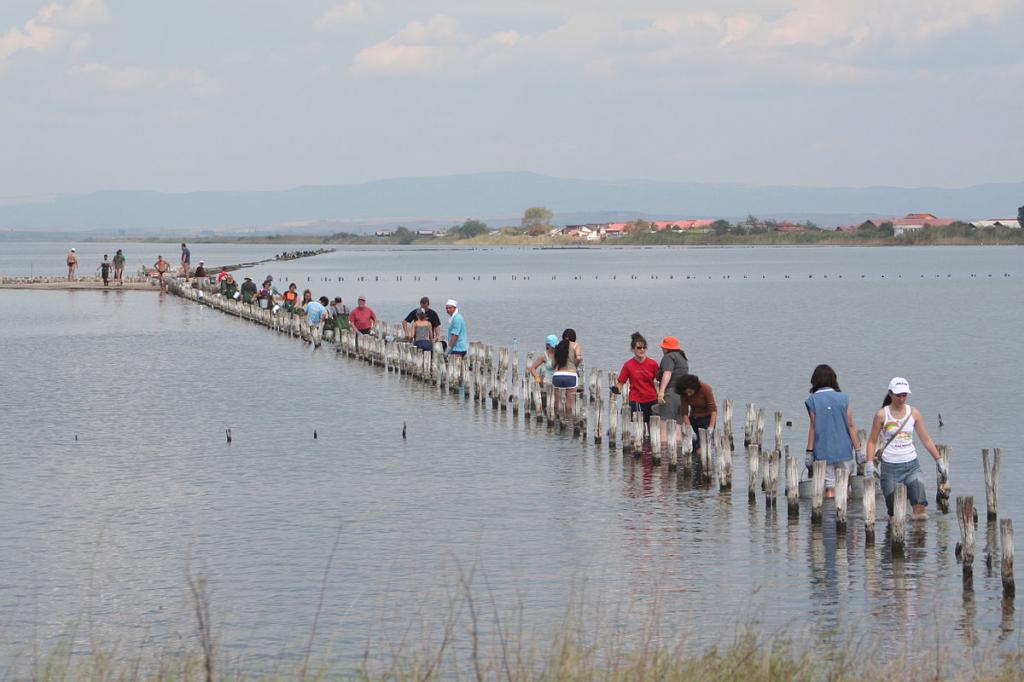 Отдых в Поморие (Болгария) отзывы