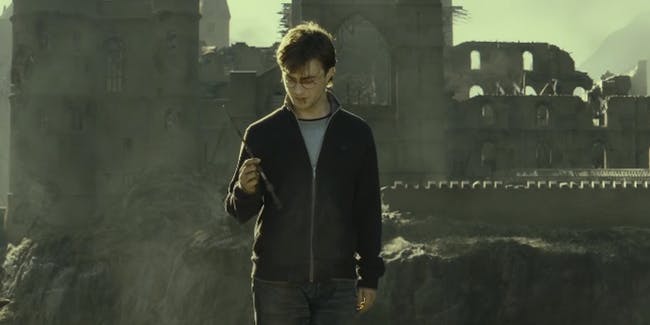 Гарри Поттер и Бузинная палочка