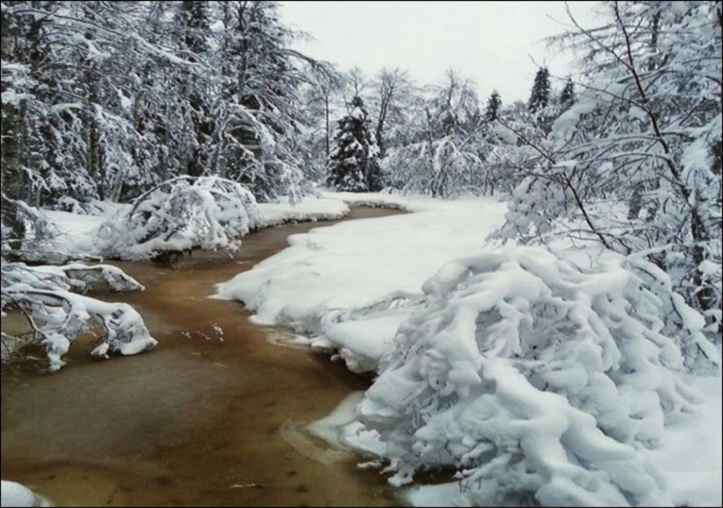 приметы весенних месяцев