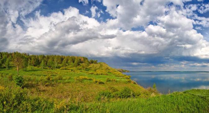 растительность Аслыкуль