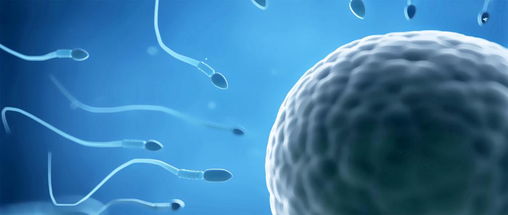 центр донорства спермы
