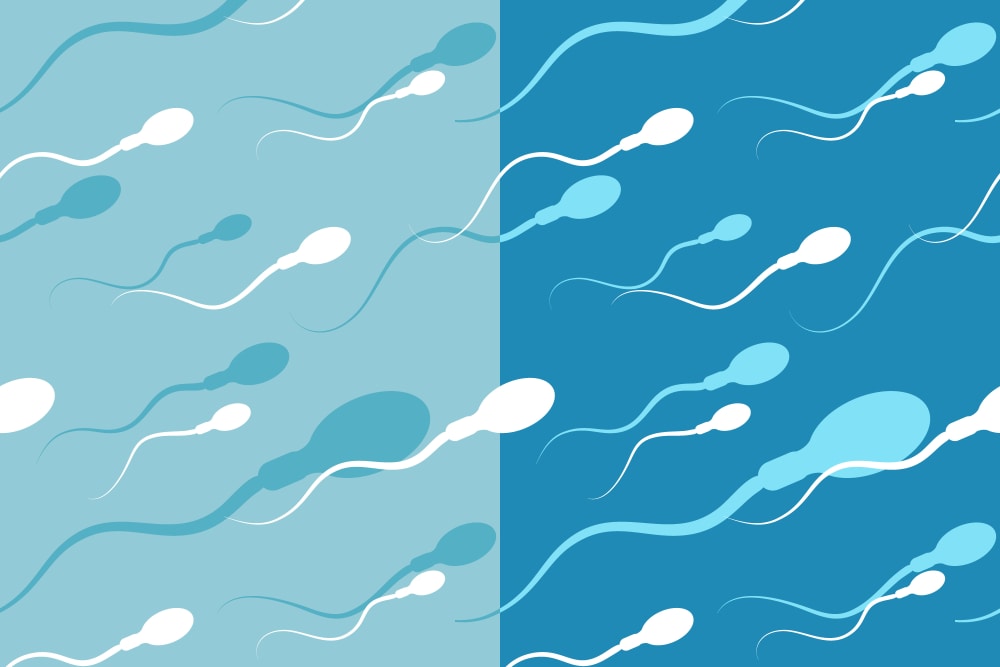 донорство спермы условия