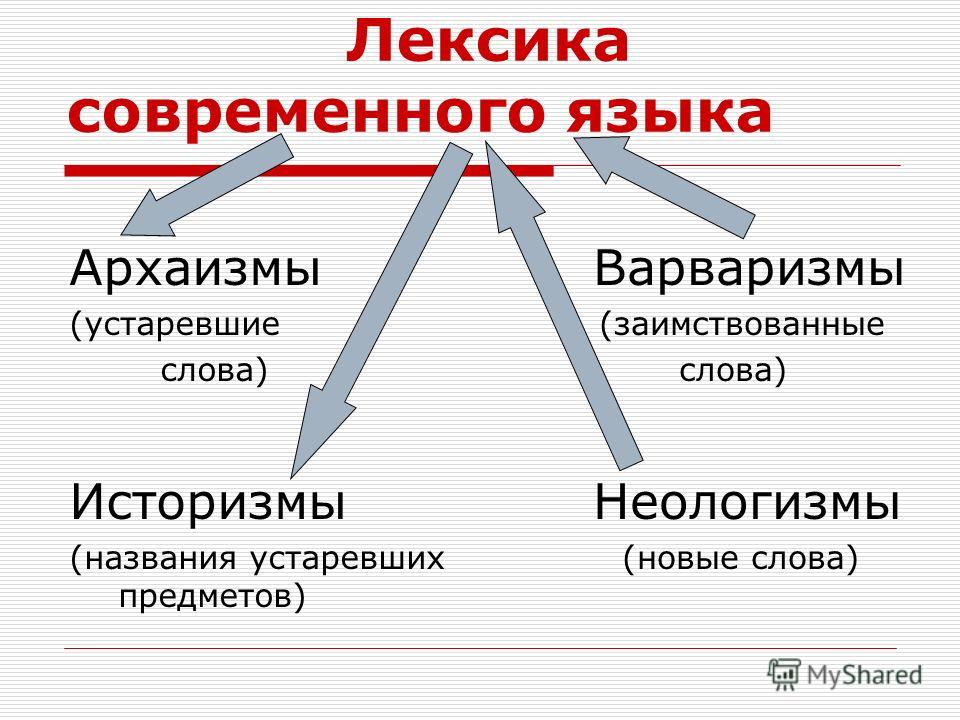 Лексика современного языка