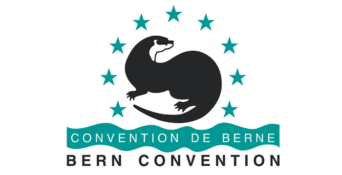 Бернская конвенция