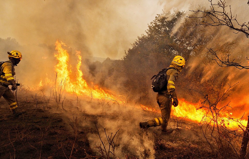 Уходя из леса - гаси огонь, иначе может случиться пожар