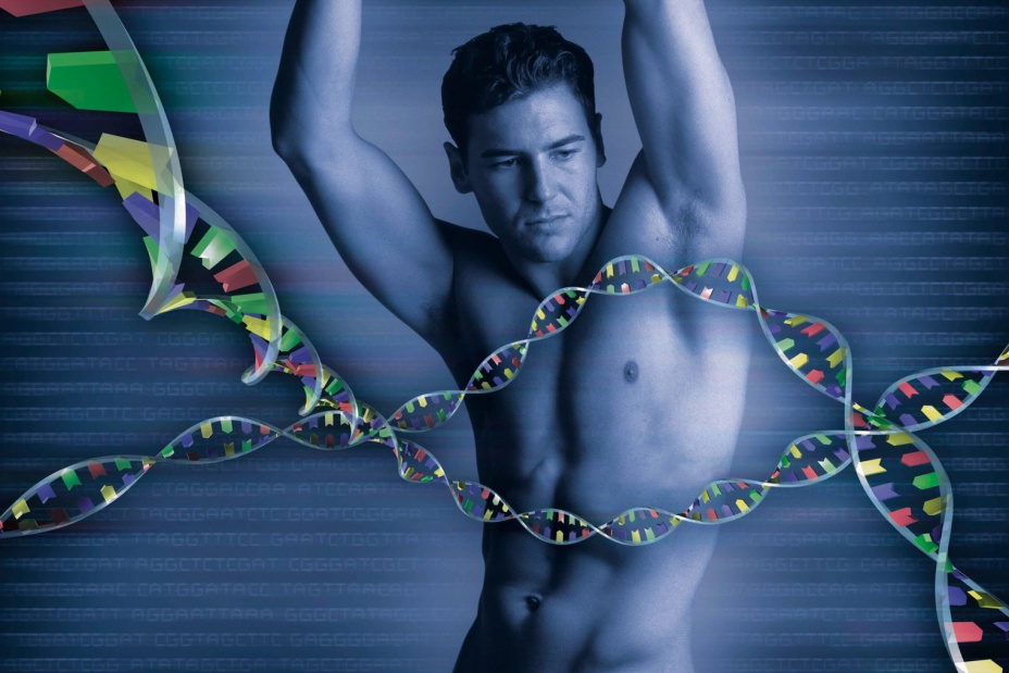 Гены важны для идентификации пола