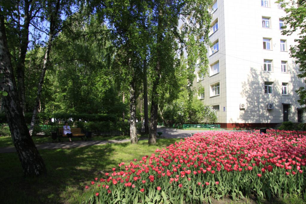 52 городская больница города москвы