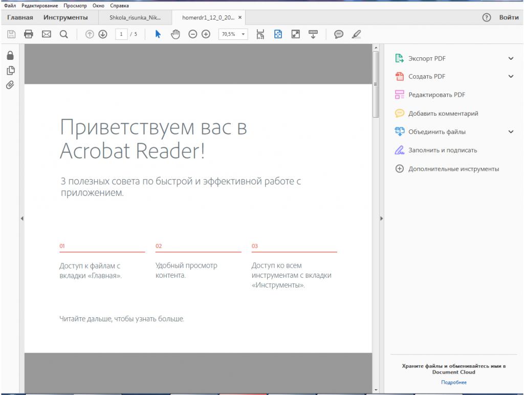 Программа Adobe Reader DC