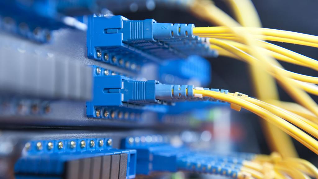 optical network