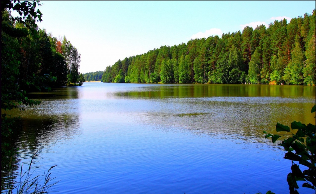 Пруд для рыбалки