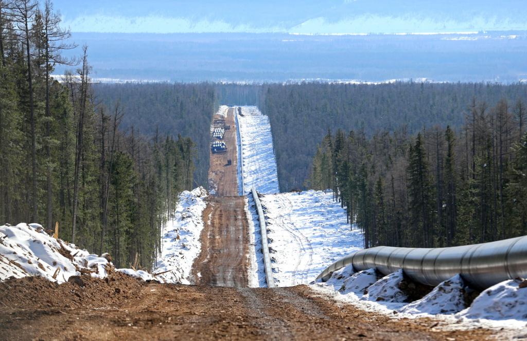 газпром дивиденды сроки