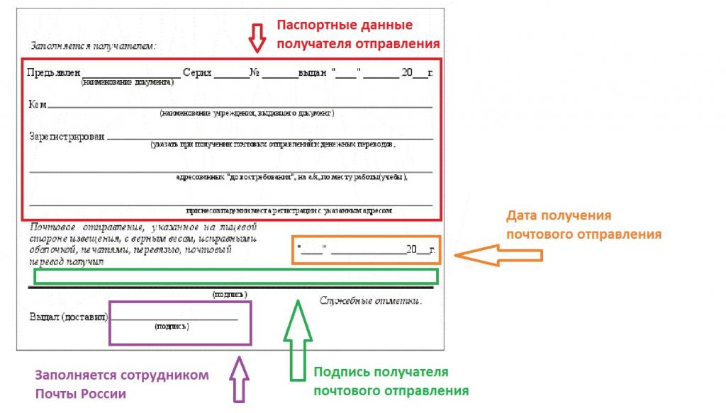 Заполнение задней стороны бланка