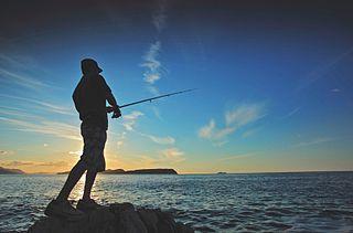 К чему сниться ловля рыбы