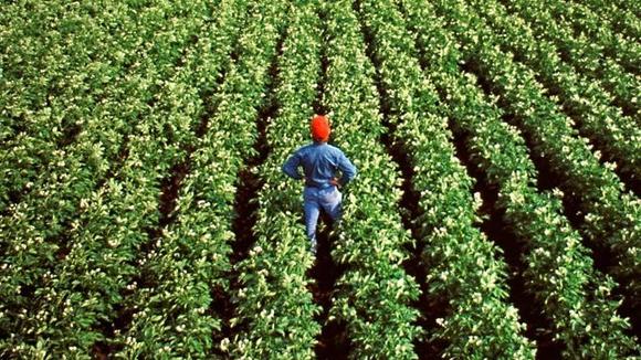 Производительность труда в сельском хозяйстве 