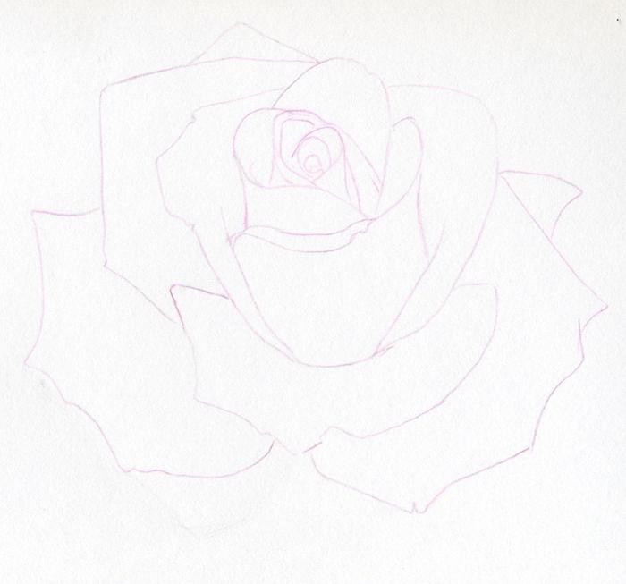 нарисовать розу карандашом