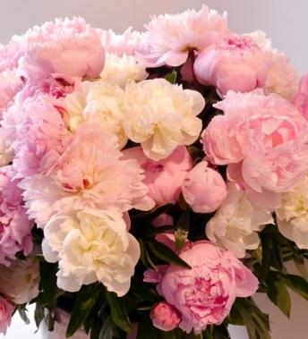 flora by gucci