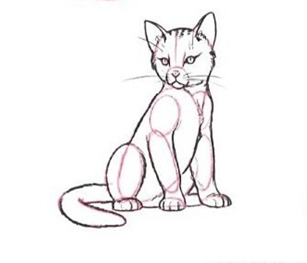 Как нарисовать кошку