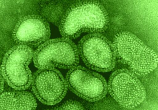кишечный грипп инкубационный период